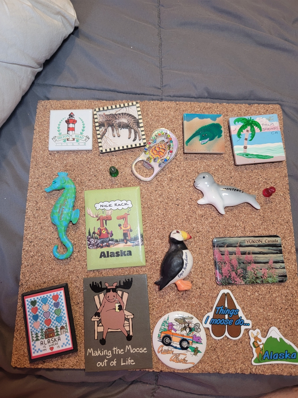 Assorted Souvenir Magnets 15 Pieces